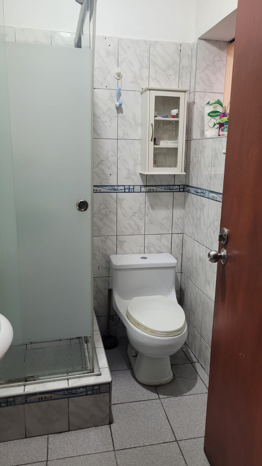 Baño de Vicita1